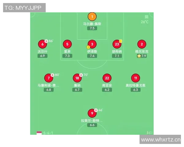 足球菊怎么在球场上发挥作用提升球队整体表现与战术配合技巧解析